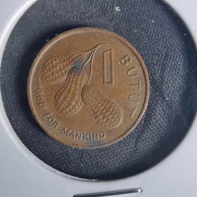 沼泽如烟--第1015场 - 冈比亚1974年一分FAO纪念币