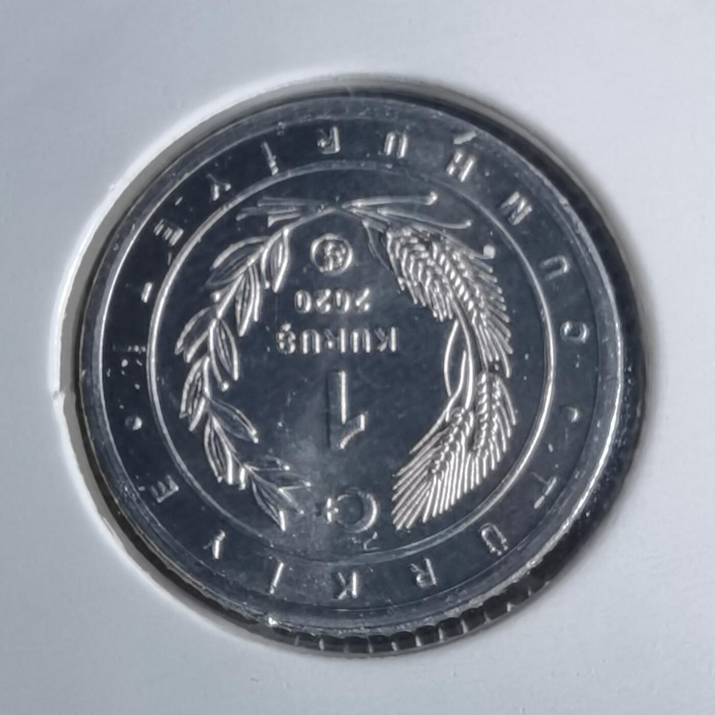 沼泽如烟--第1016场 土耳其2020年1库鲁小鸟系列纪念币