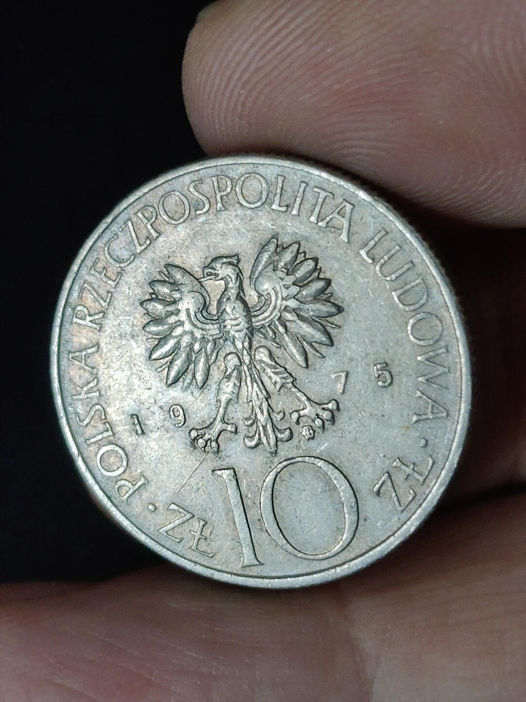 猩哥外币小铺➨【第219场】 波兰