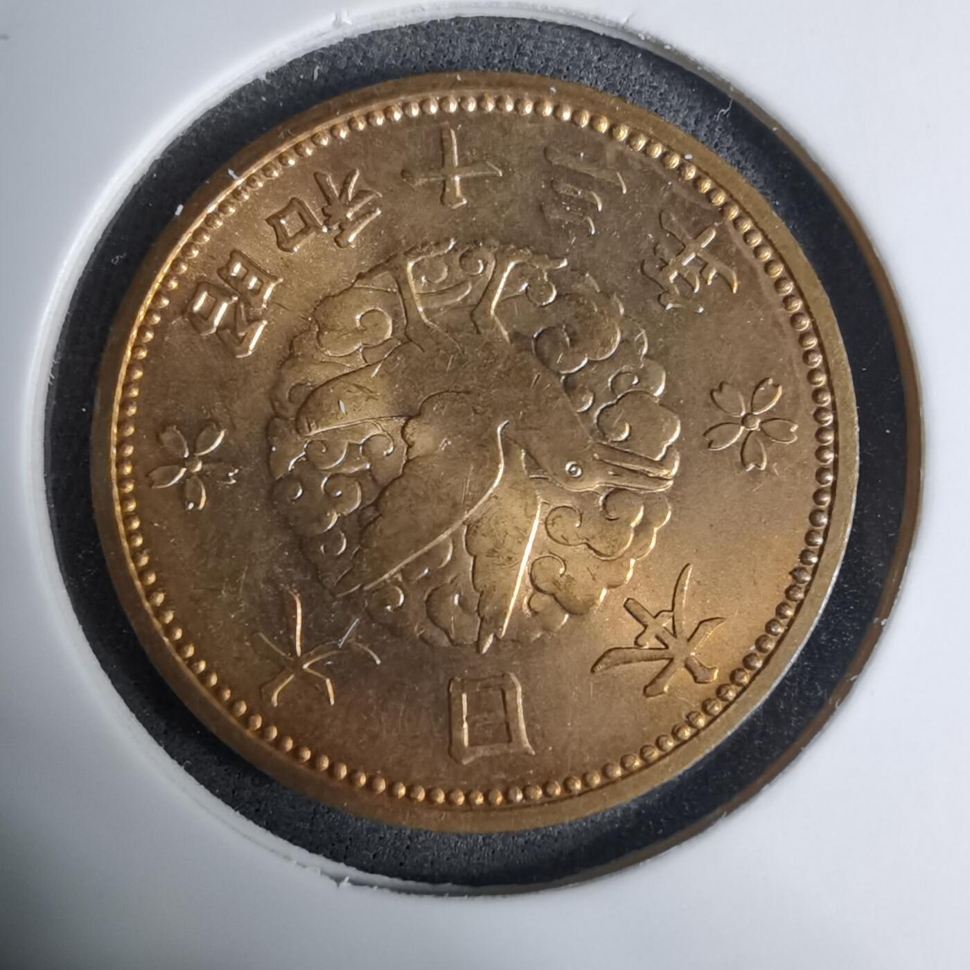 沼泽如烟--第1016场