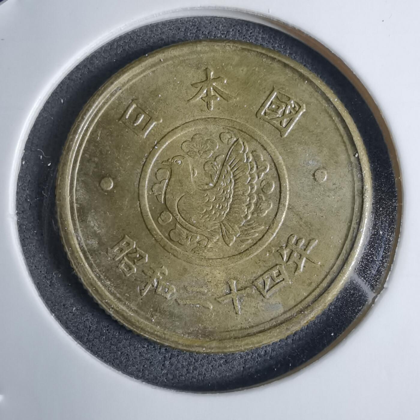 沼泽如烟--第1016场