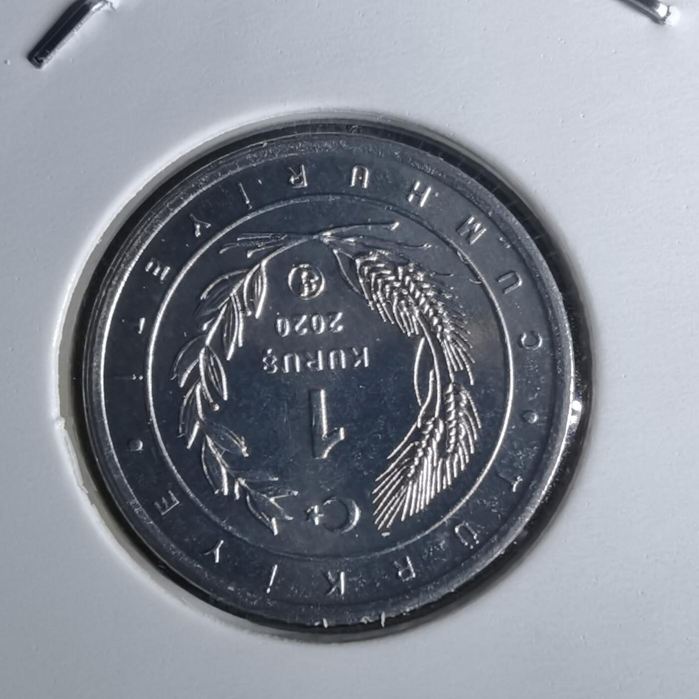 沼泽如烟--第1016场 土耳其2020年1库鲁小鸟系列纪念币