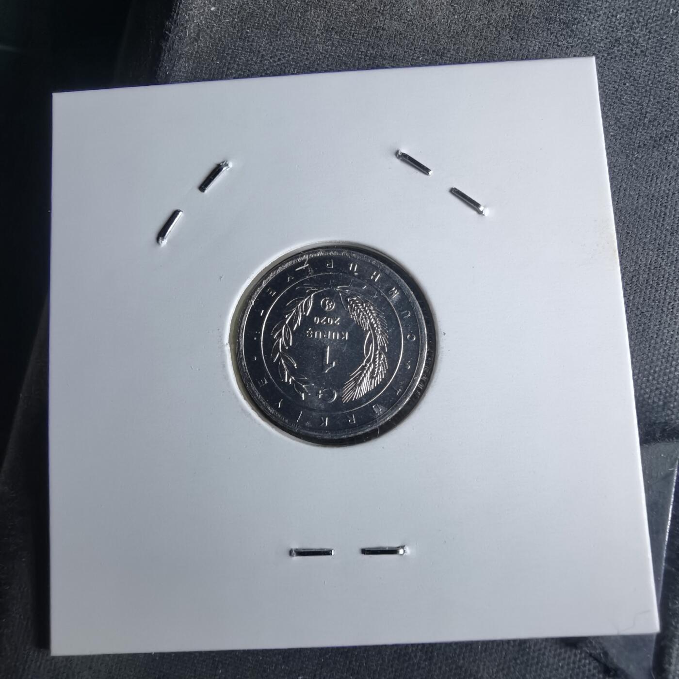 沼泽如烟--第1016场 土耳其2020年1库鲁小鸟系列纪念币