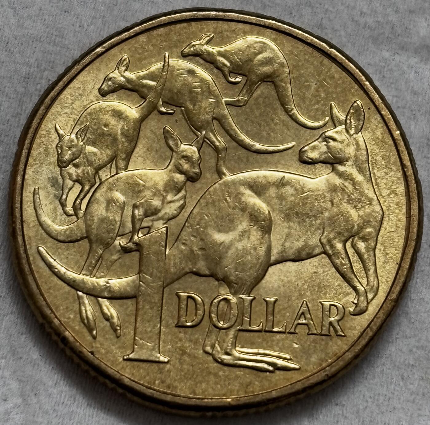 文馨钱币收藏第 296 场，长期接代拍业务  原光品相 2025 年澳大利亚 一元，查尔斯头像少见