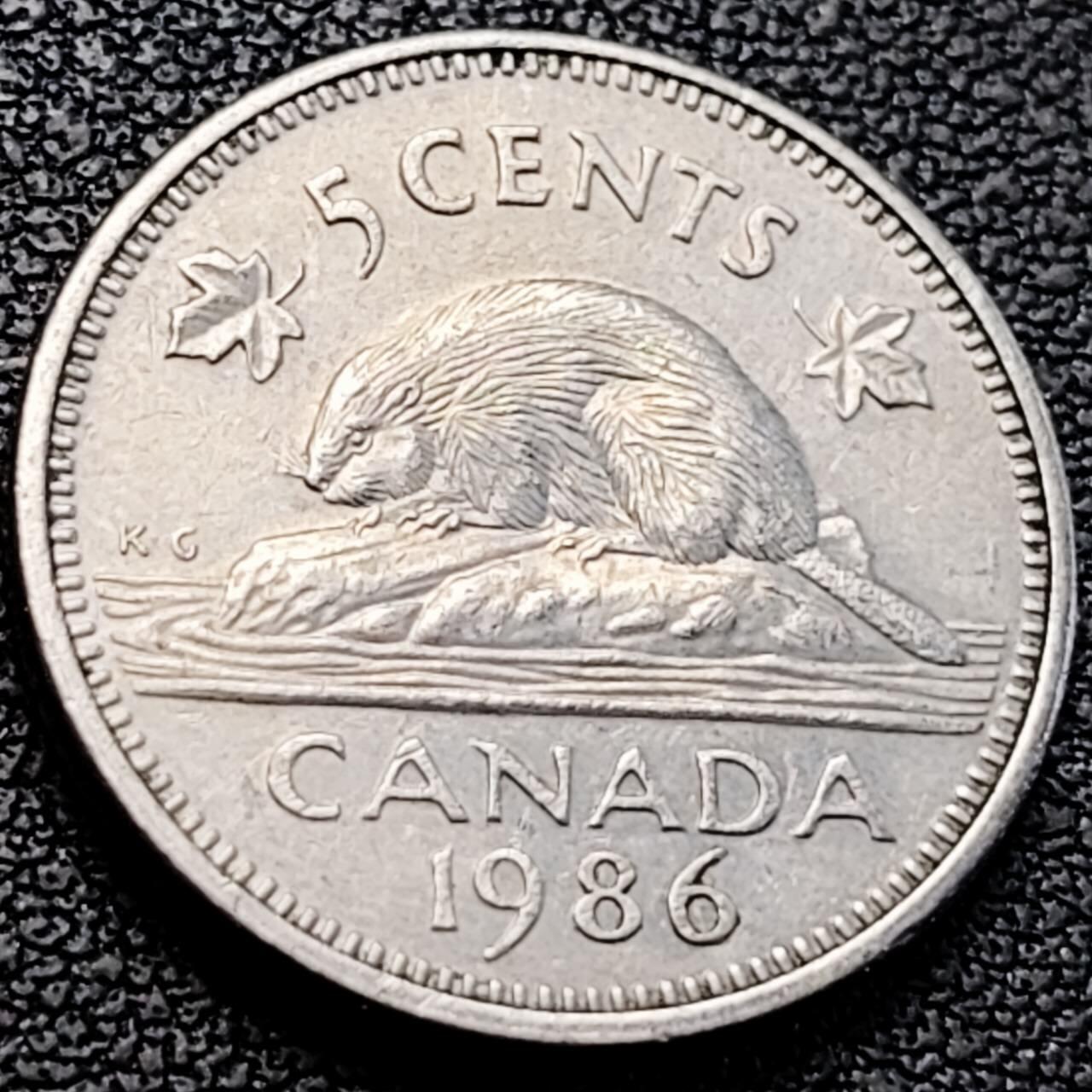 泉币菌-第205场-拍品多 请提前出价 。