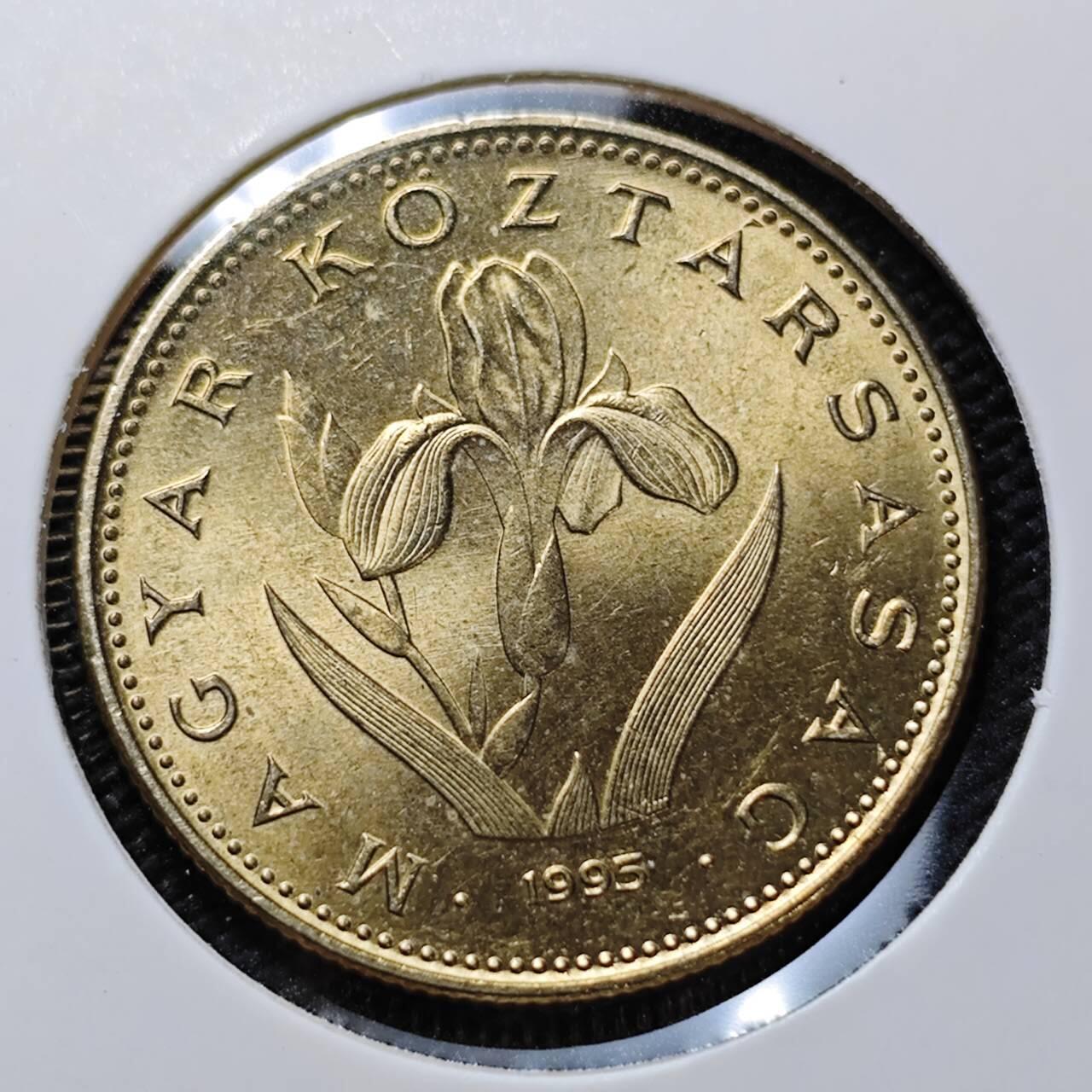 KK钱币收藏小铺   第404期 2月预留时间 周末发货  1995匈牙利20福林