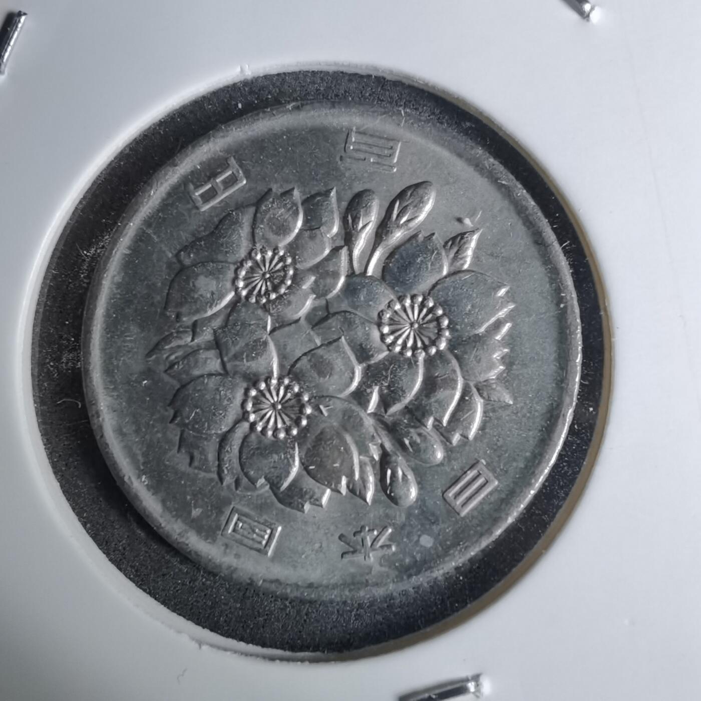 沼泽如烟--第1016场