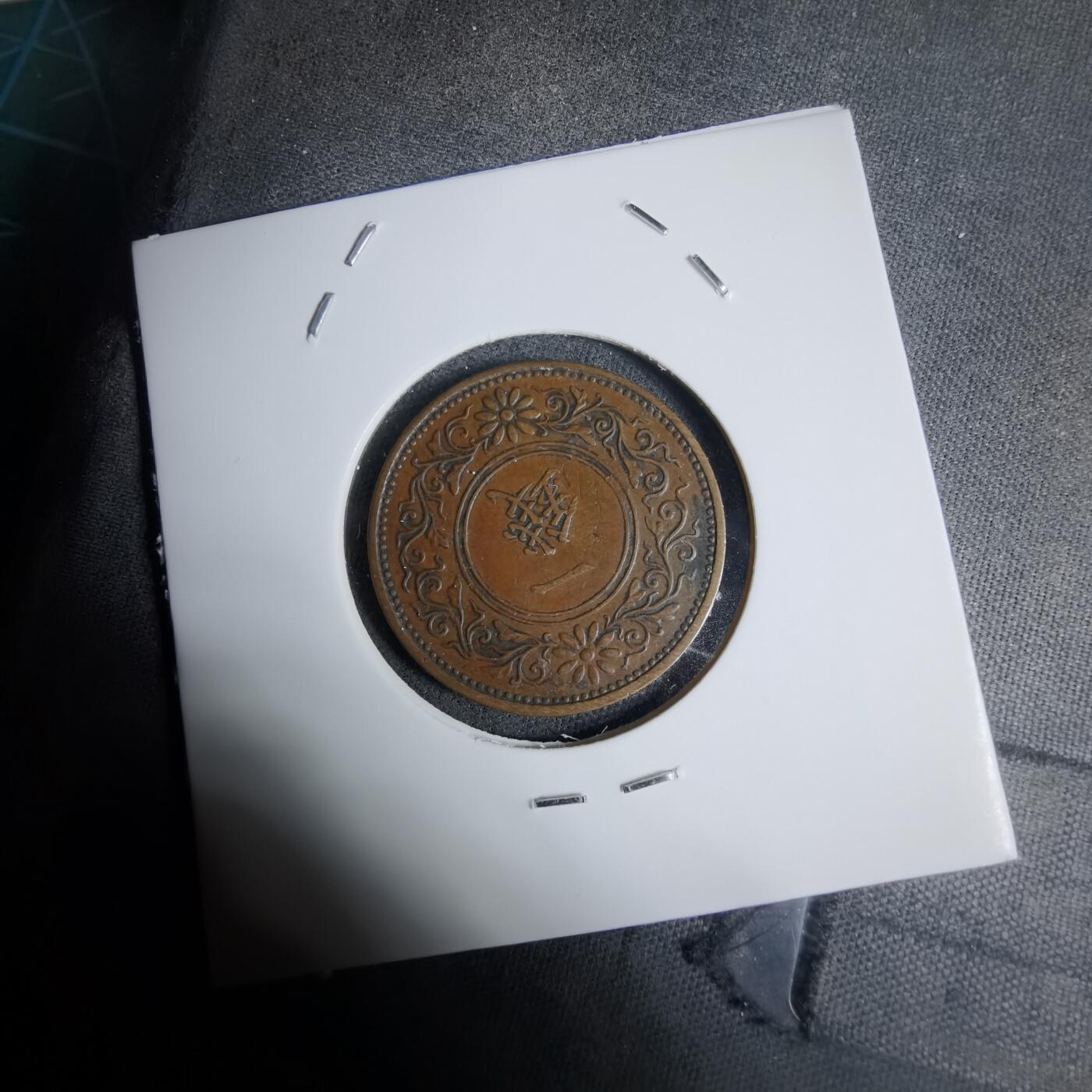 沼泽如烟--第1016场