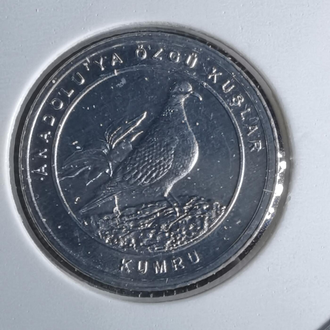 沼泽如烟--第1016场 土耳其2020年1库鲁小鸟系列纪念币