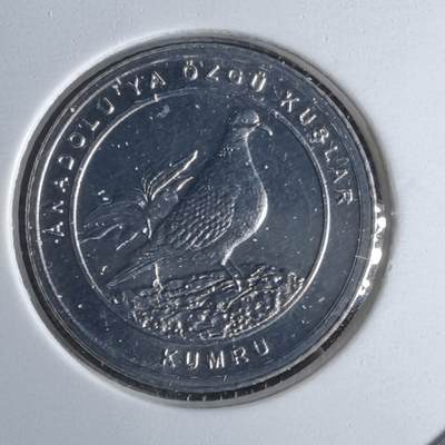 沼泽如烟--第1016场 - 土耳其2020年1库鲁小鸟系列纪念币