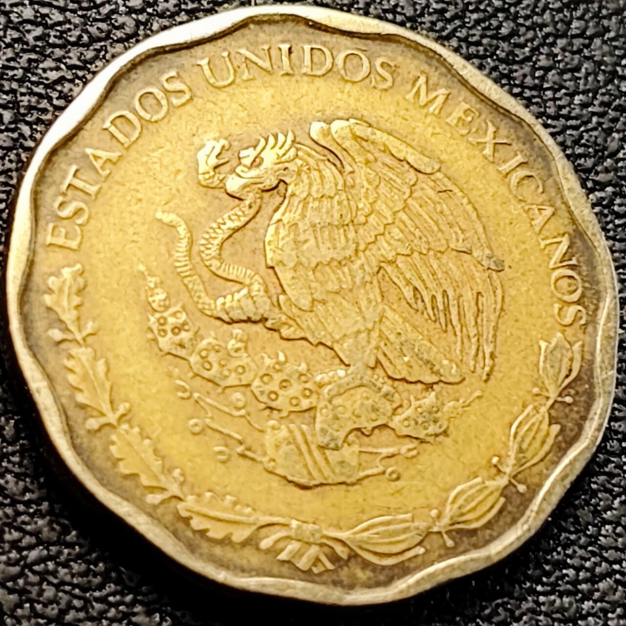 泉币菌-第205场-拍品多 请提前出价 。