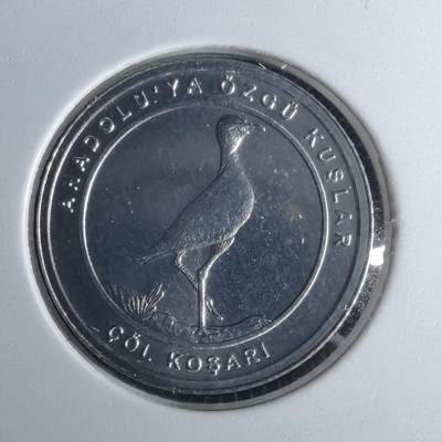 沼泽如烟--第1016场 - 土耳其2020年1库鲁小鸟系列纪念币