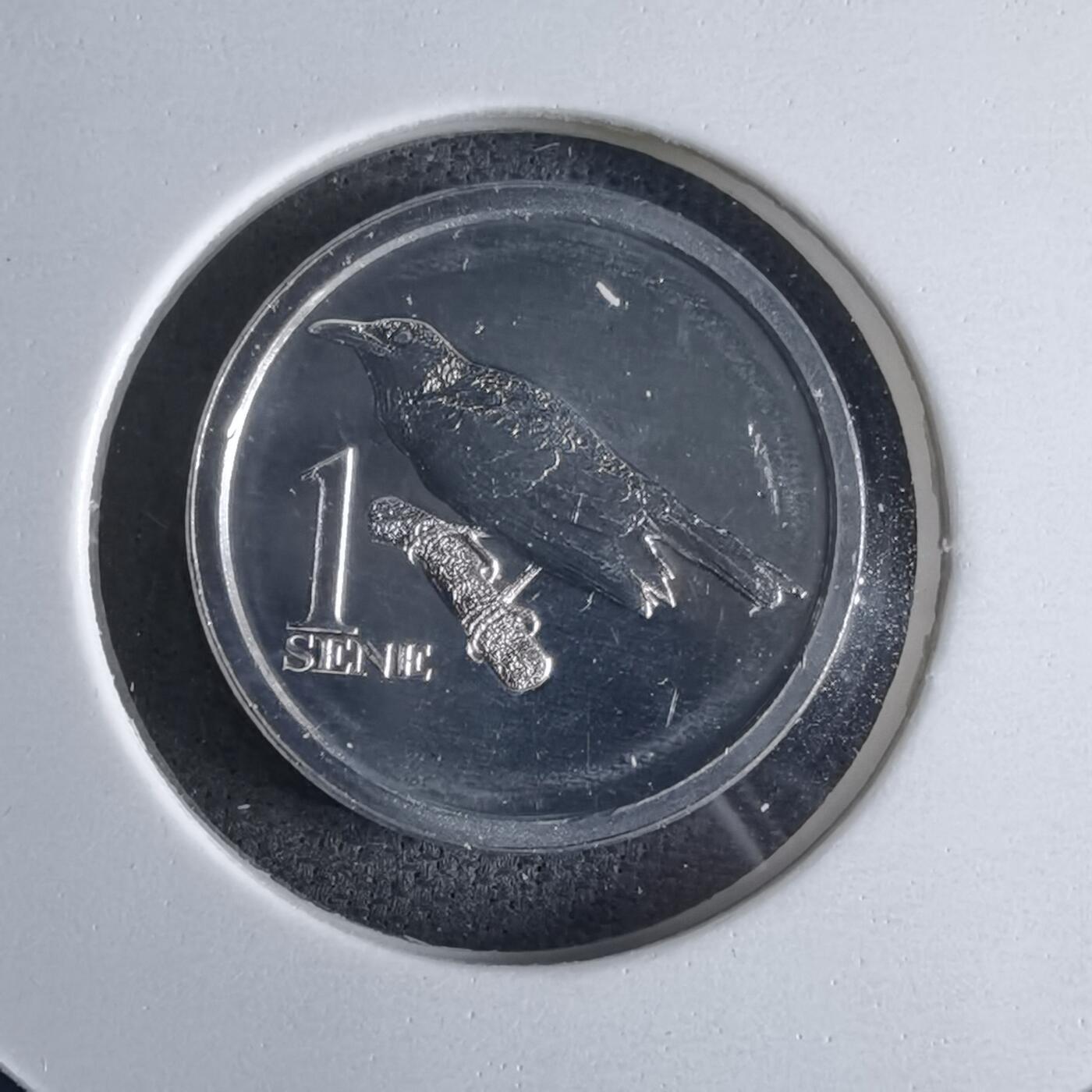 沼泽如烟--第1016场