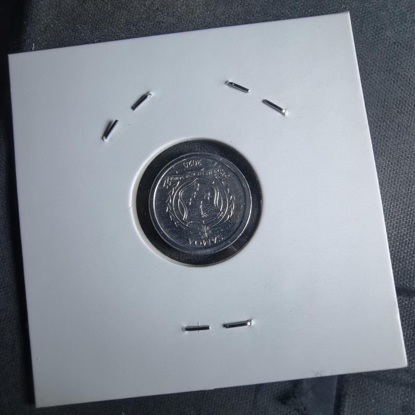 沼泽如烟--第1016场