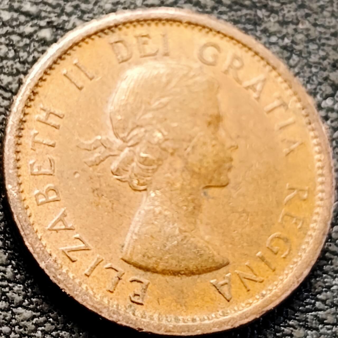 泉币菌-第205场-拍品多 请提前出价 .