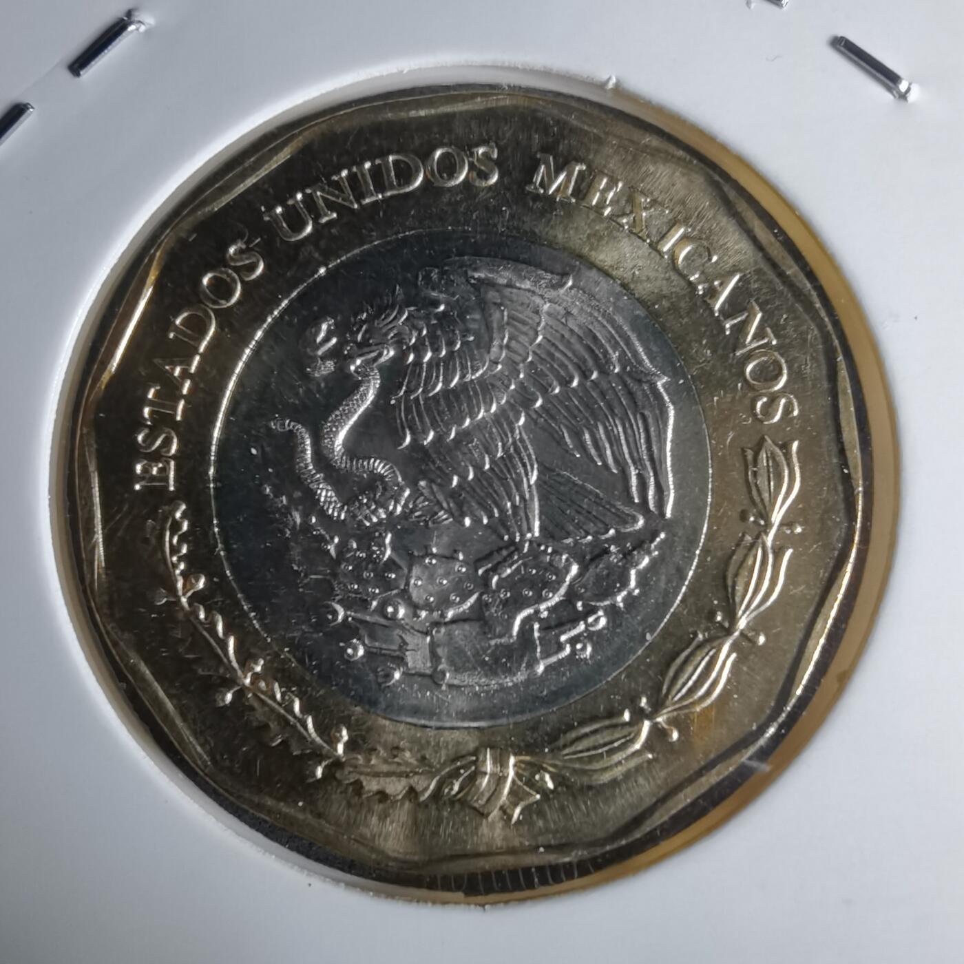 沼泽如烟--第1016场