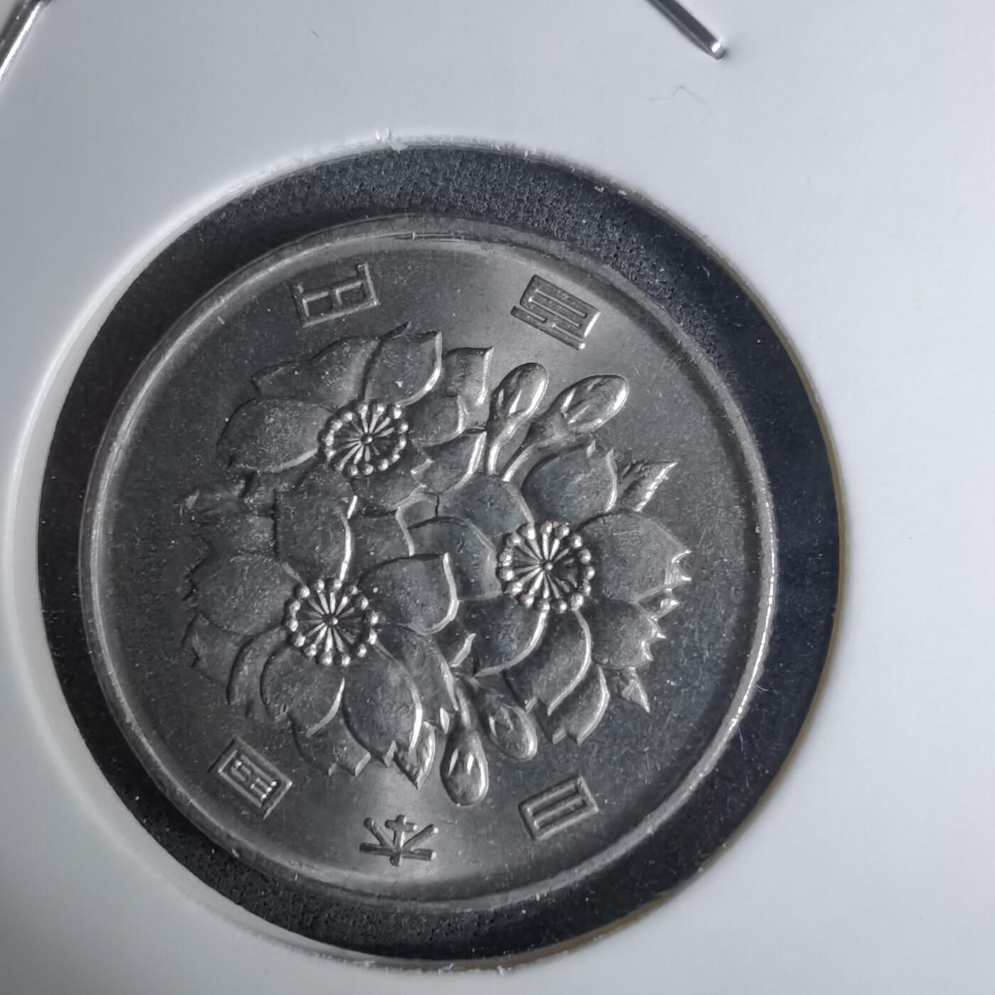 沼泽如烟--第1016场