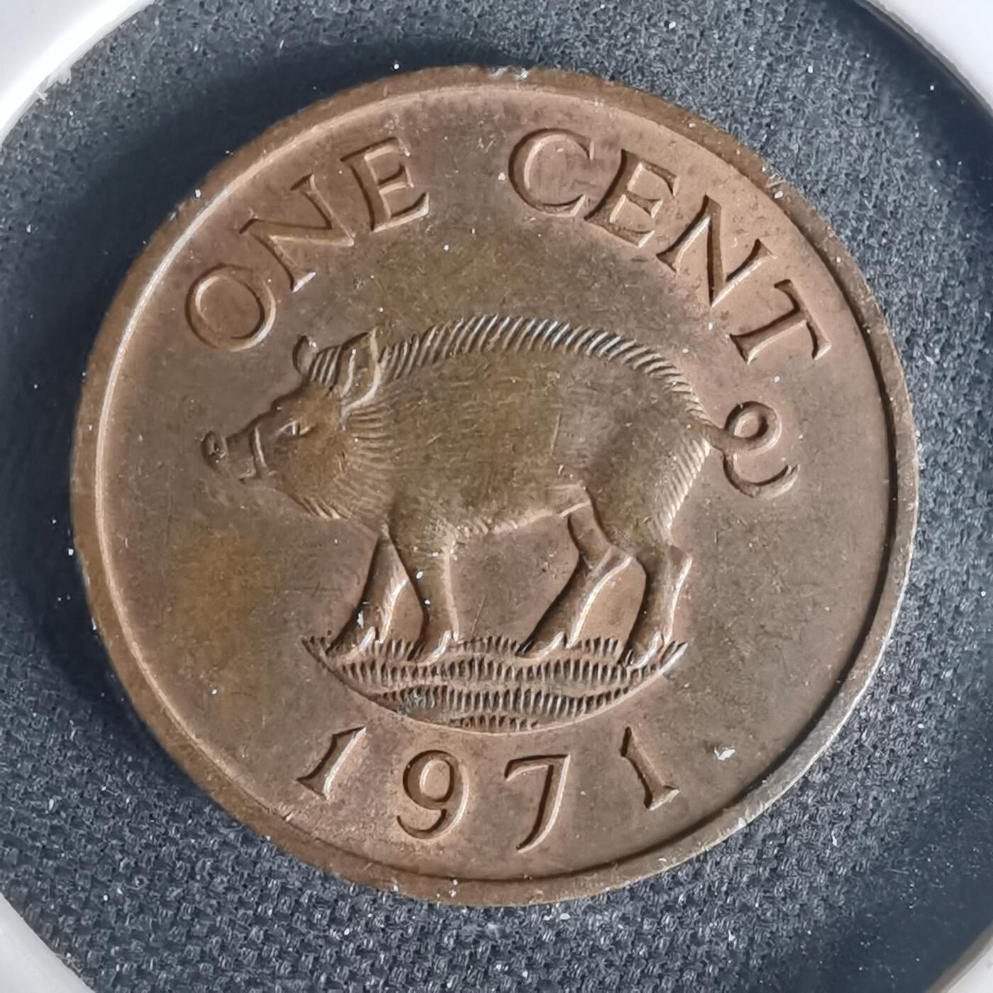 沼泽如烟--第1015场 百慕大1971年一分