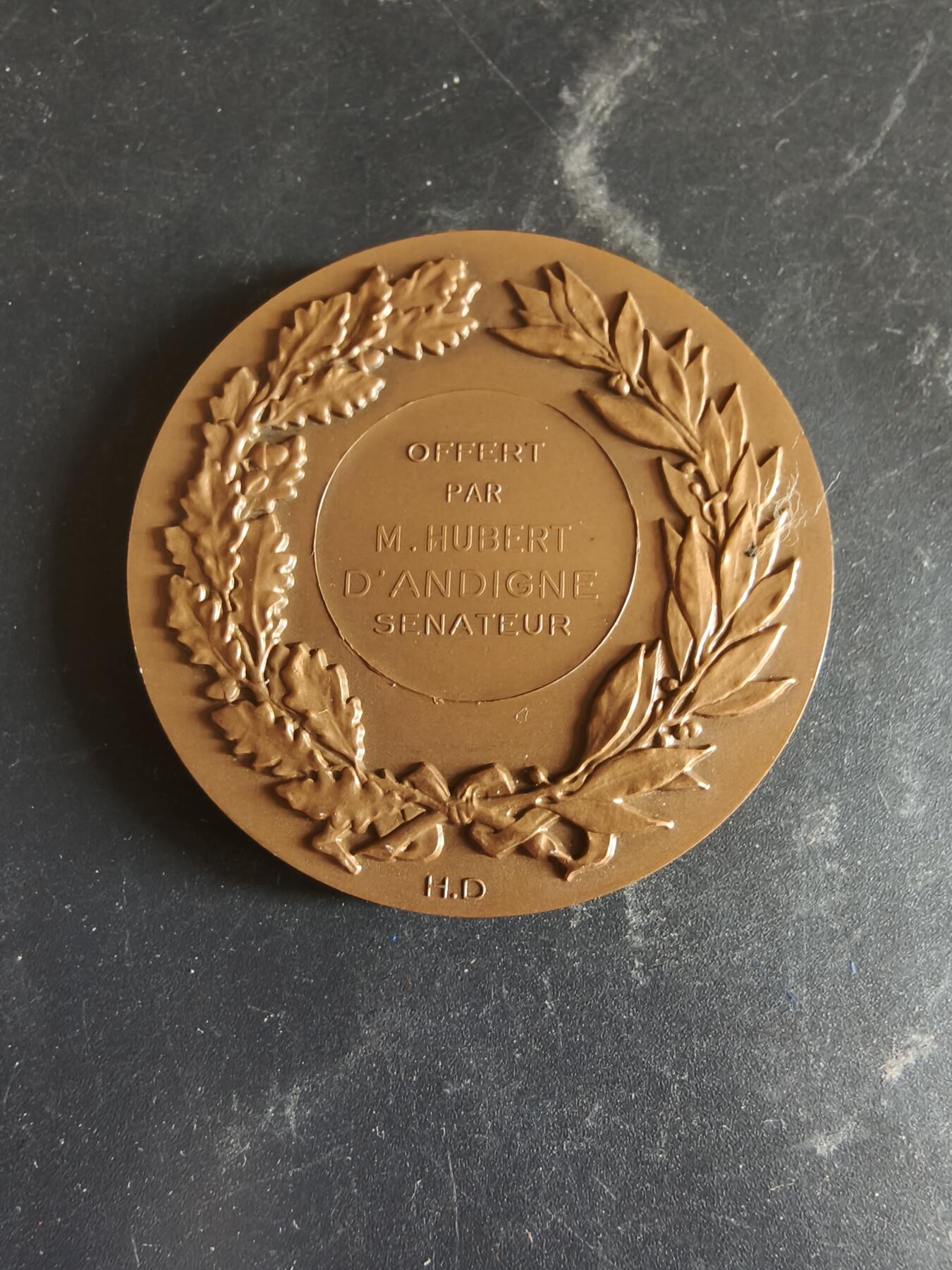 老王徽章第186期 法国参议员赠大铜章    原盒    大师杜布瓦作品    直径50mm    重量77.4g