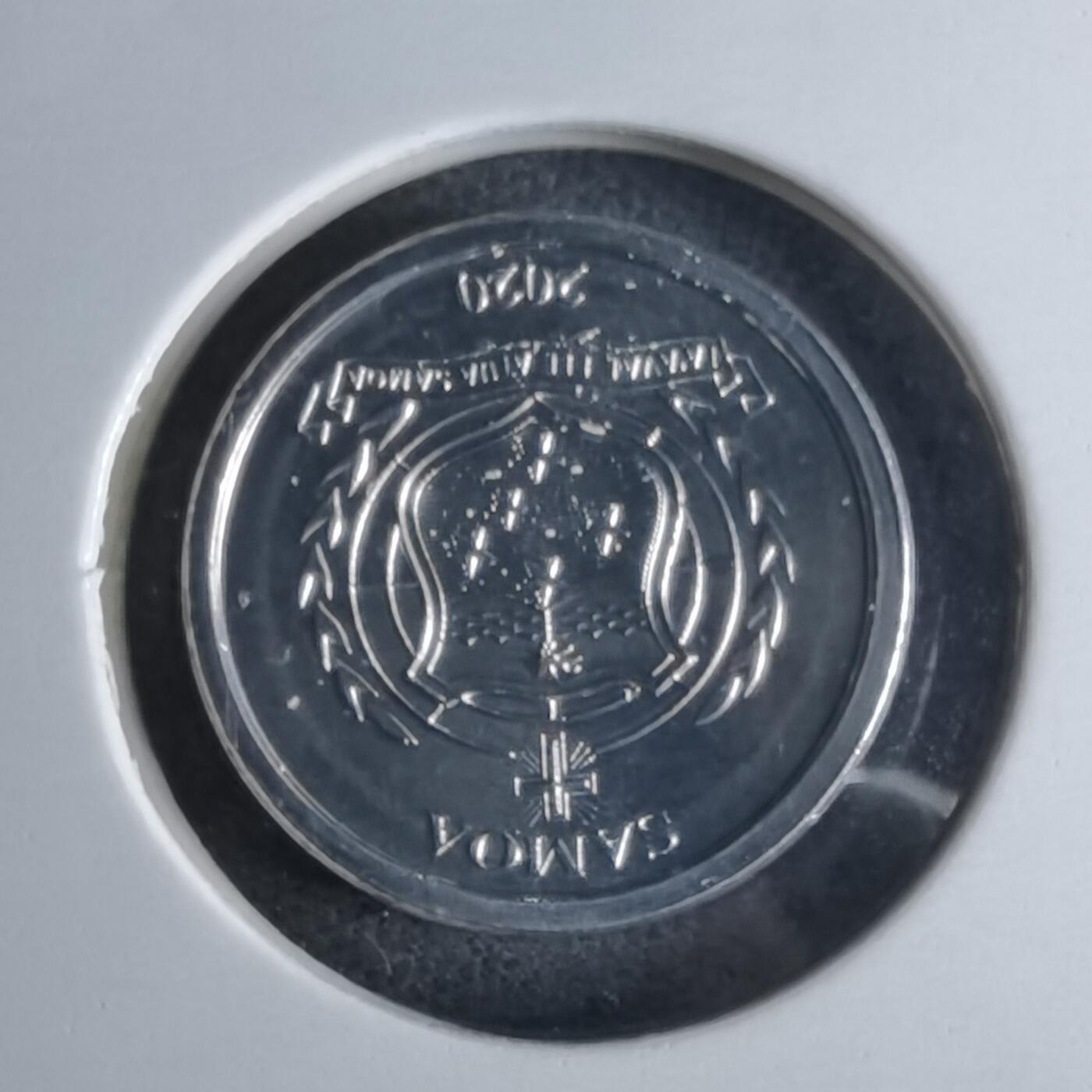 沼泽如烟--第1016场