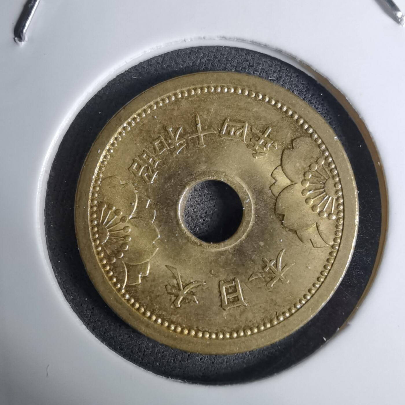 沼泽如烟--第1016场