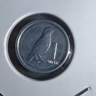 沼泽如烟--第1016场 - 萨摩亚2020年一分小鸟