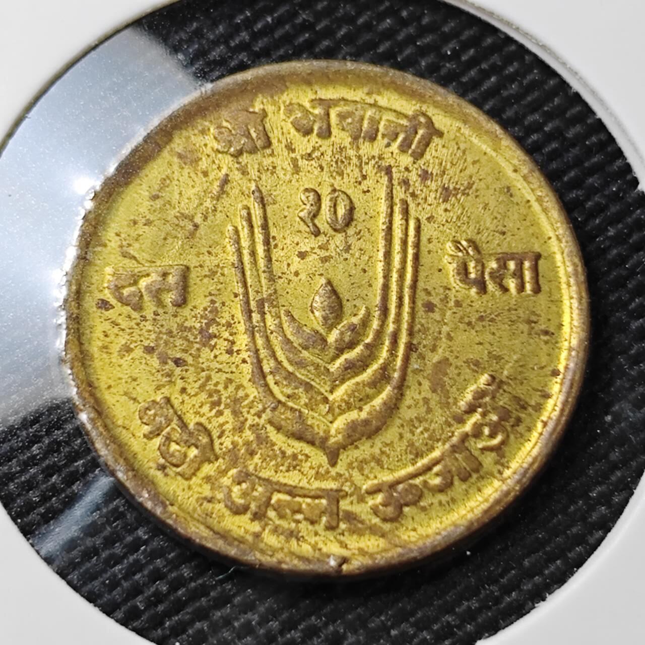 KK钱币收藏小铺   第404期 2月预留时间 周末发货  尼泊尔铜币