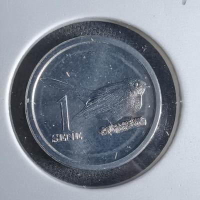 沼泽如烟--第1016场 - 萨摩亚2020年一分小鸟