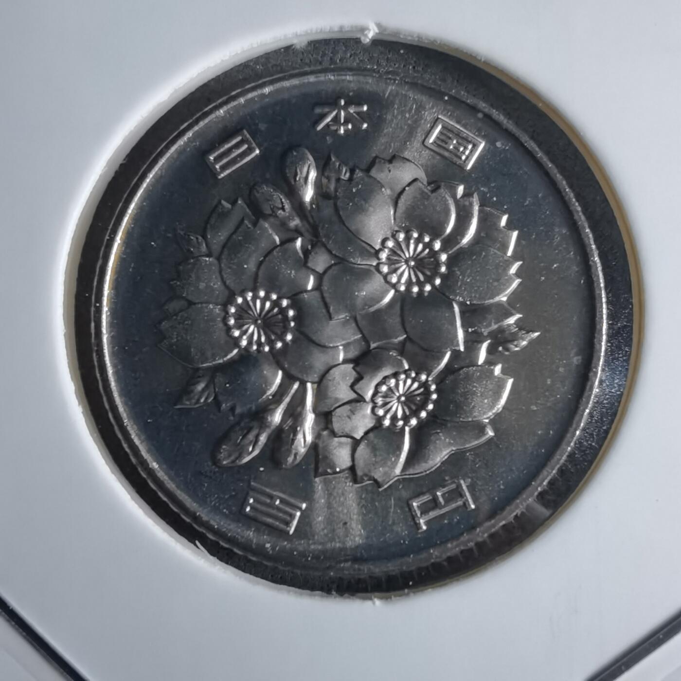 沼泽如烟--第1016场