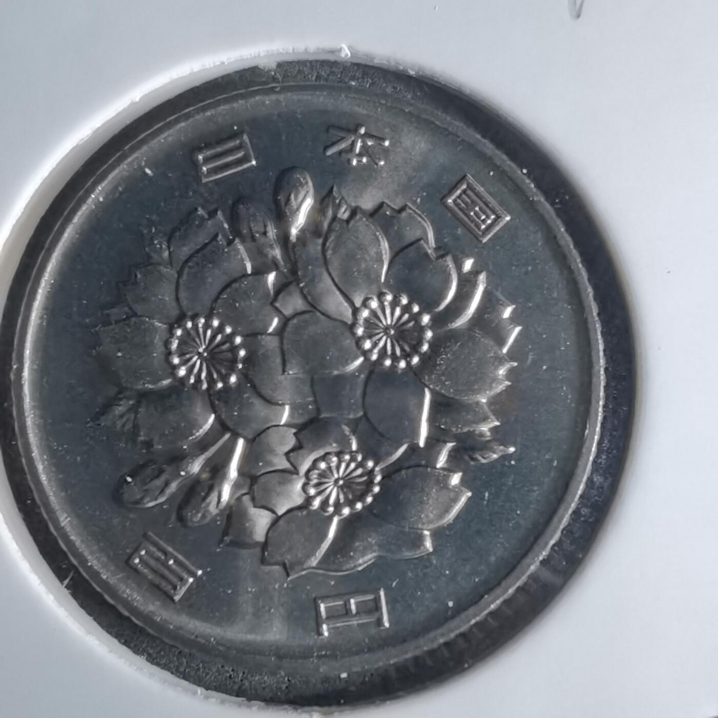 沼泽如烟--第1016场