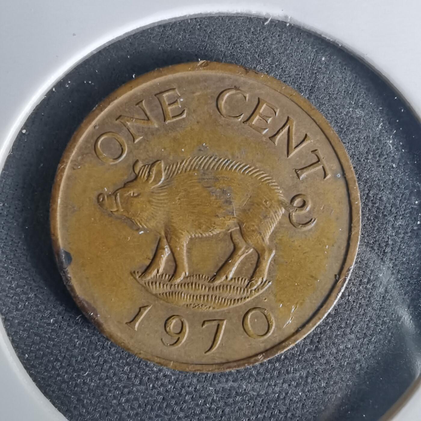 沼泽如烟--第1015场 百慕大1970年一分