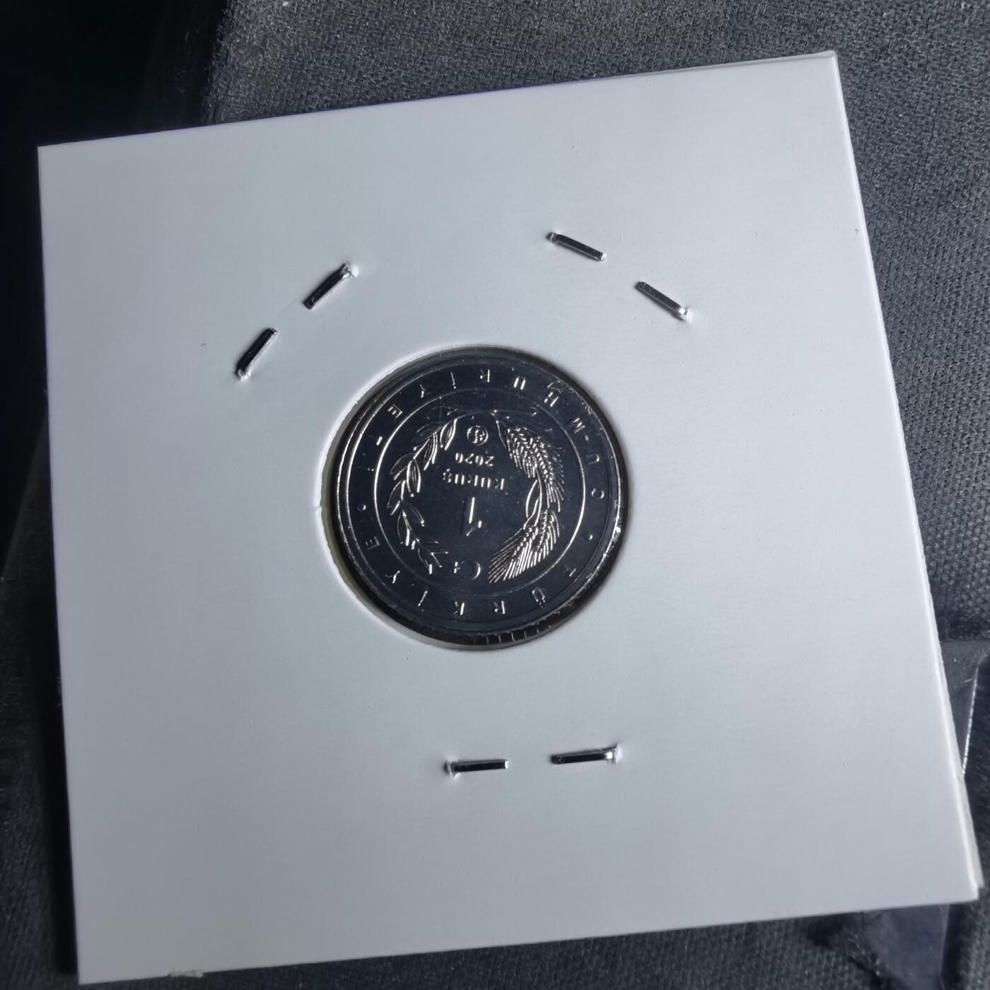 沼泽如烟--第1016场 土耳其2020年1库鲁小鸟系列纪念币