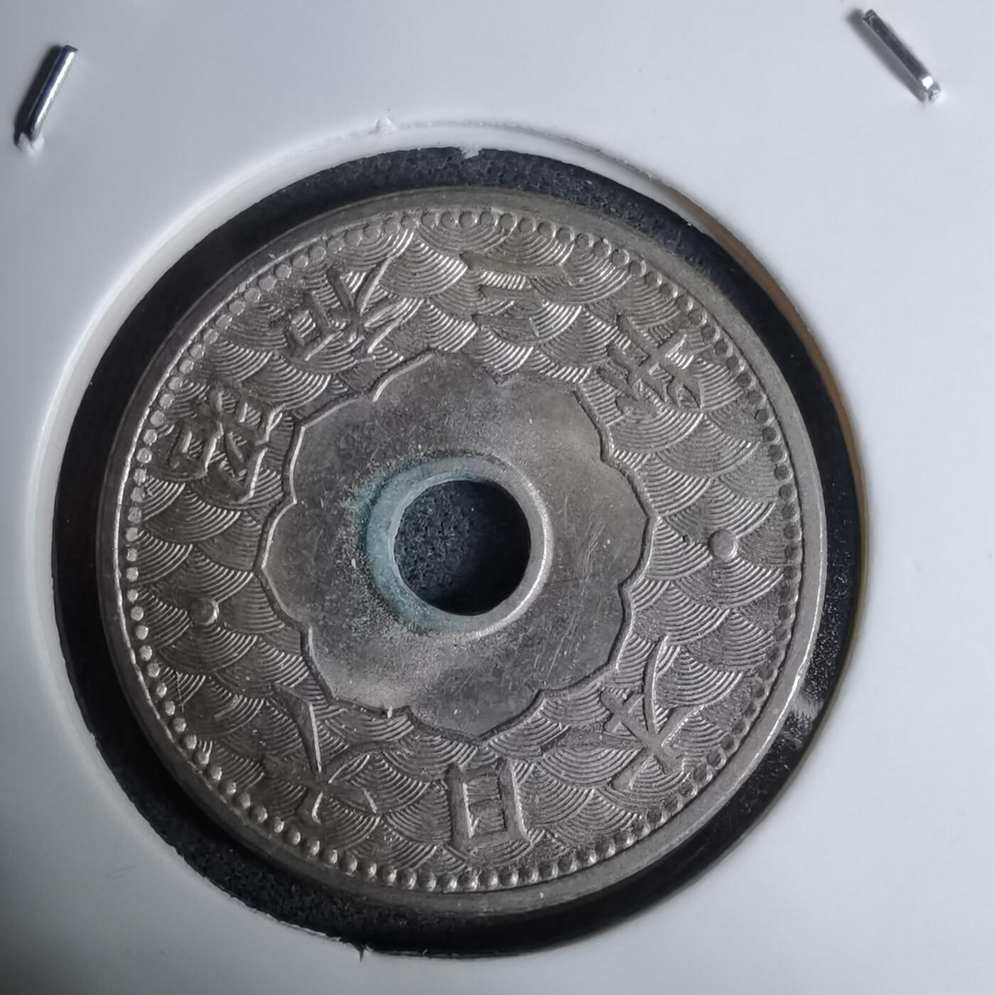 沼泽如烟--第1016场