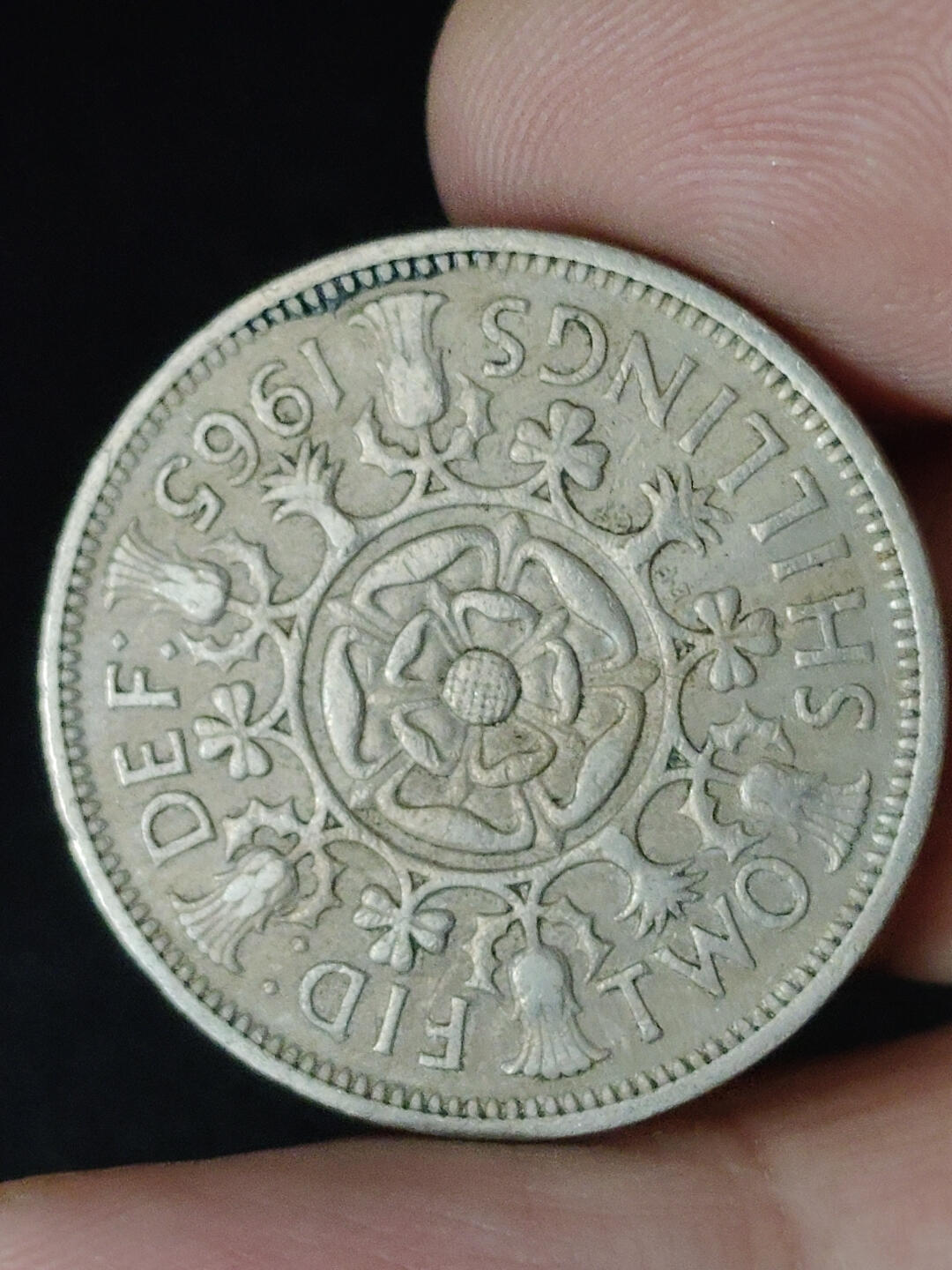 猩哥外币小铺➨【第219场】 英国