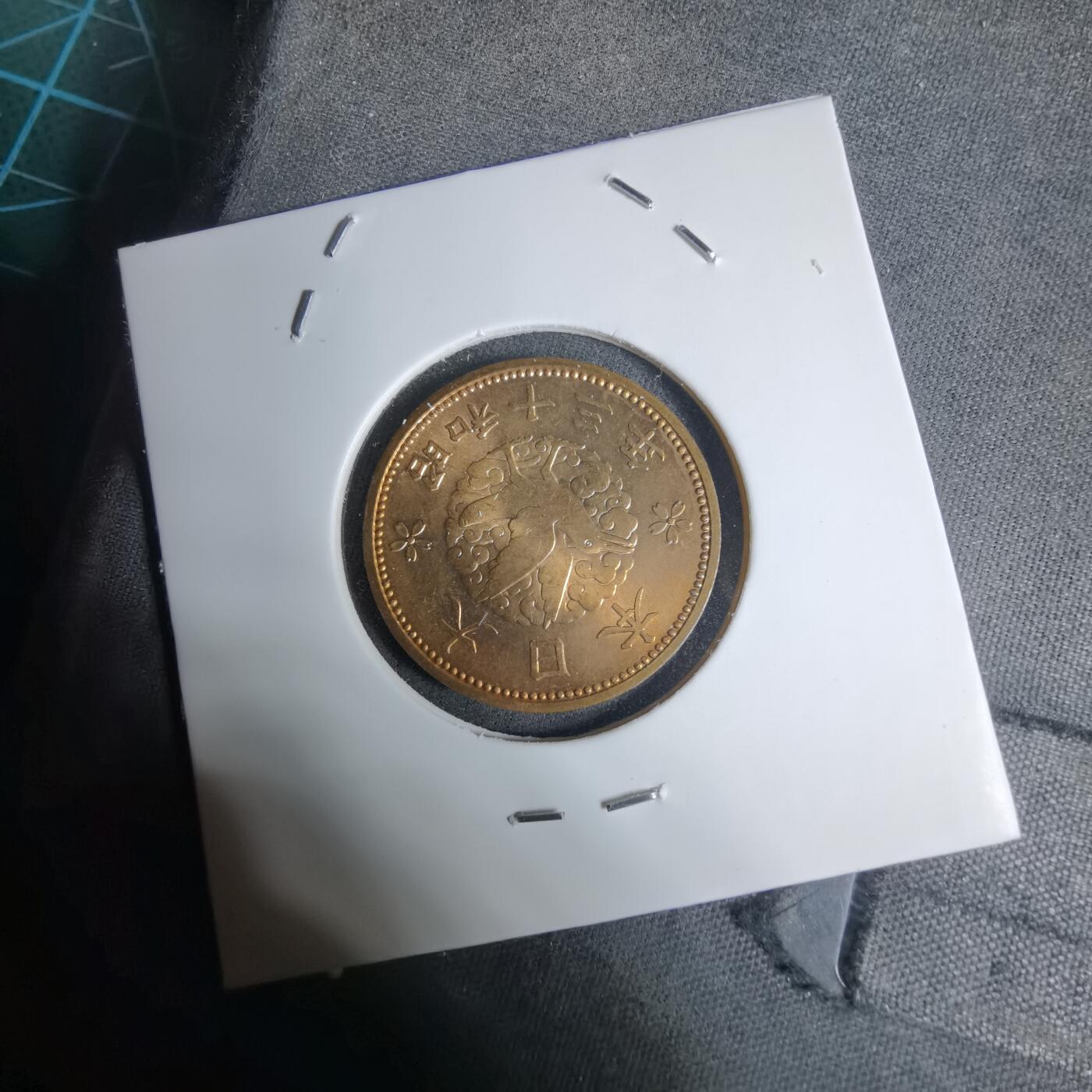 沼泽如烟--第1016场