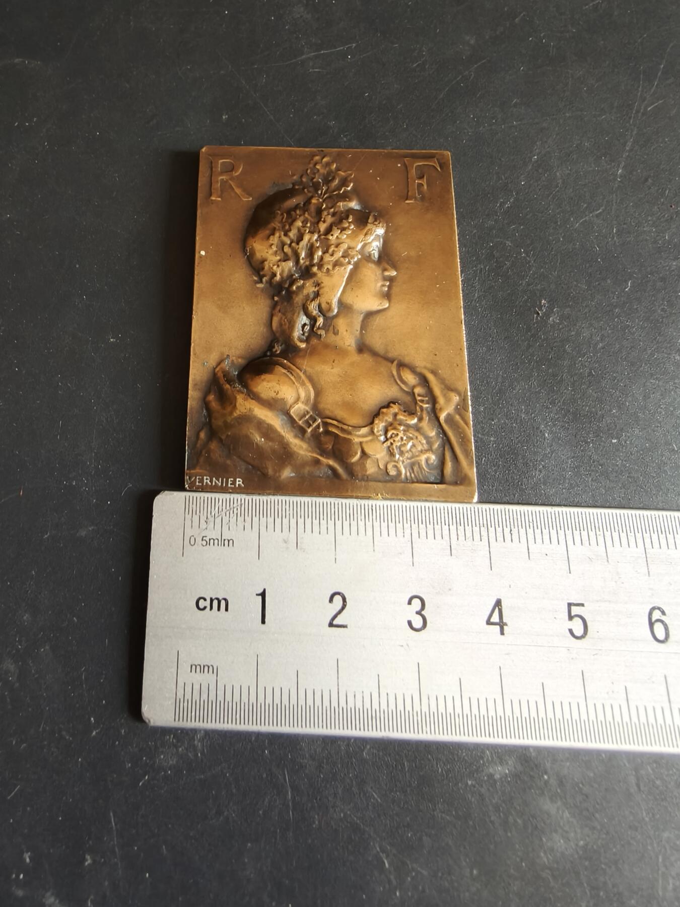 老王徽章第186期 法国塞纳省国家评审团颁发给高级编辑C. Duval先生方形大铜章     大师Vernier作品      尺寸38×52mm     重量44.5g