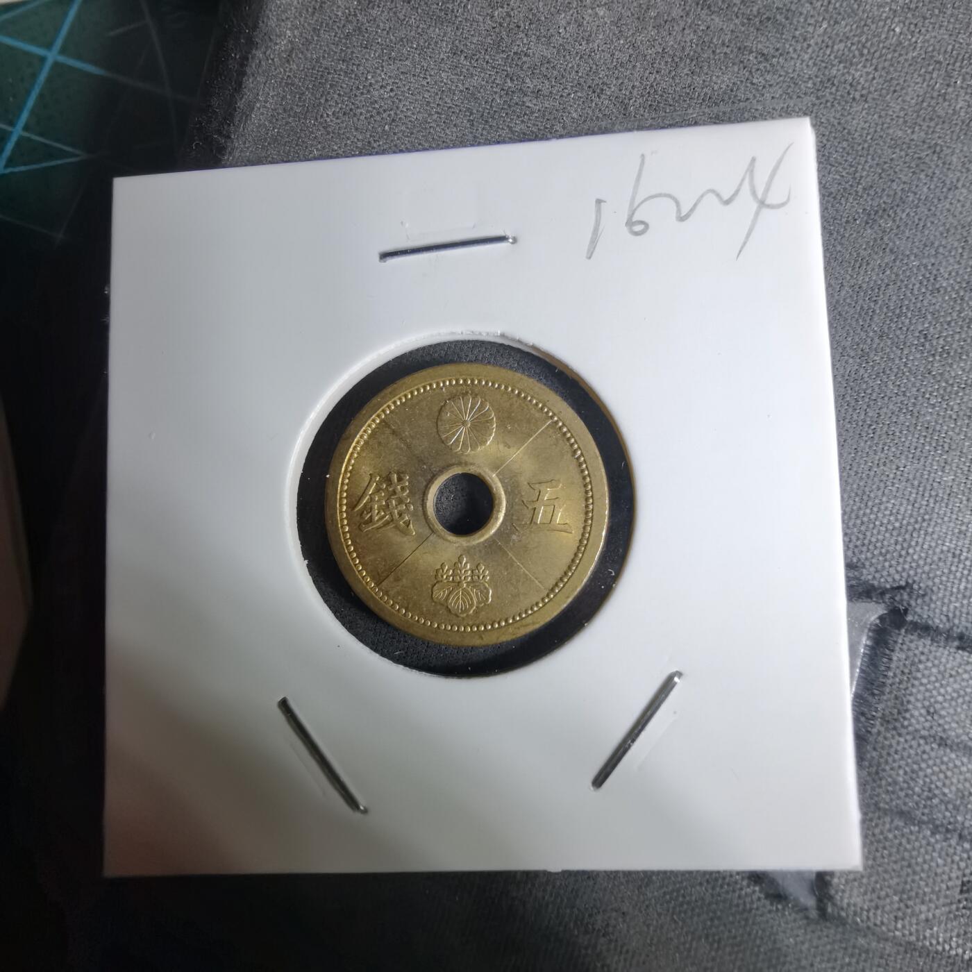 沼泽如烟--第1016场