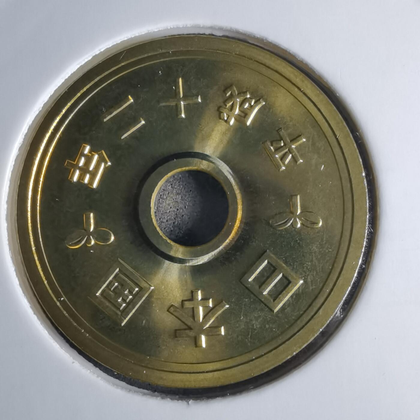 沼泽如烟--第1016场