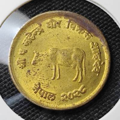 KK钱币收藏小铺   第404期 2月预留时间 周末发货 -  尼泊尔铜币