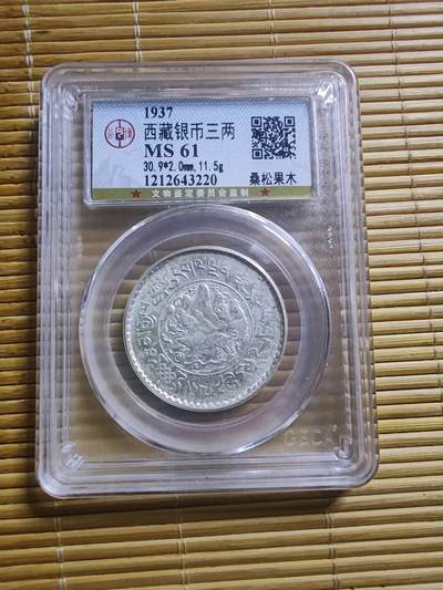 公博61分西藏三两桑松果木三两 - 公博61分西藏三两桑松果木三两