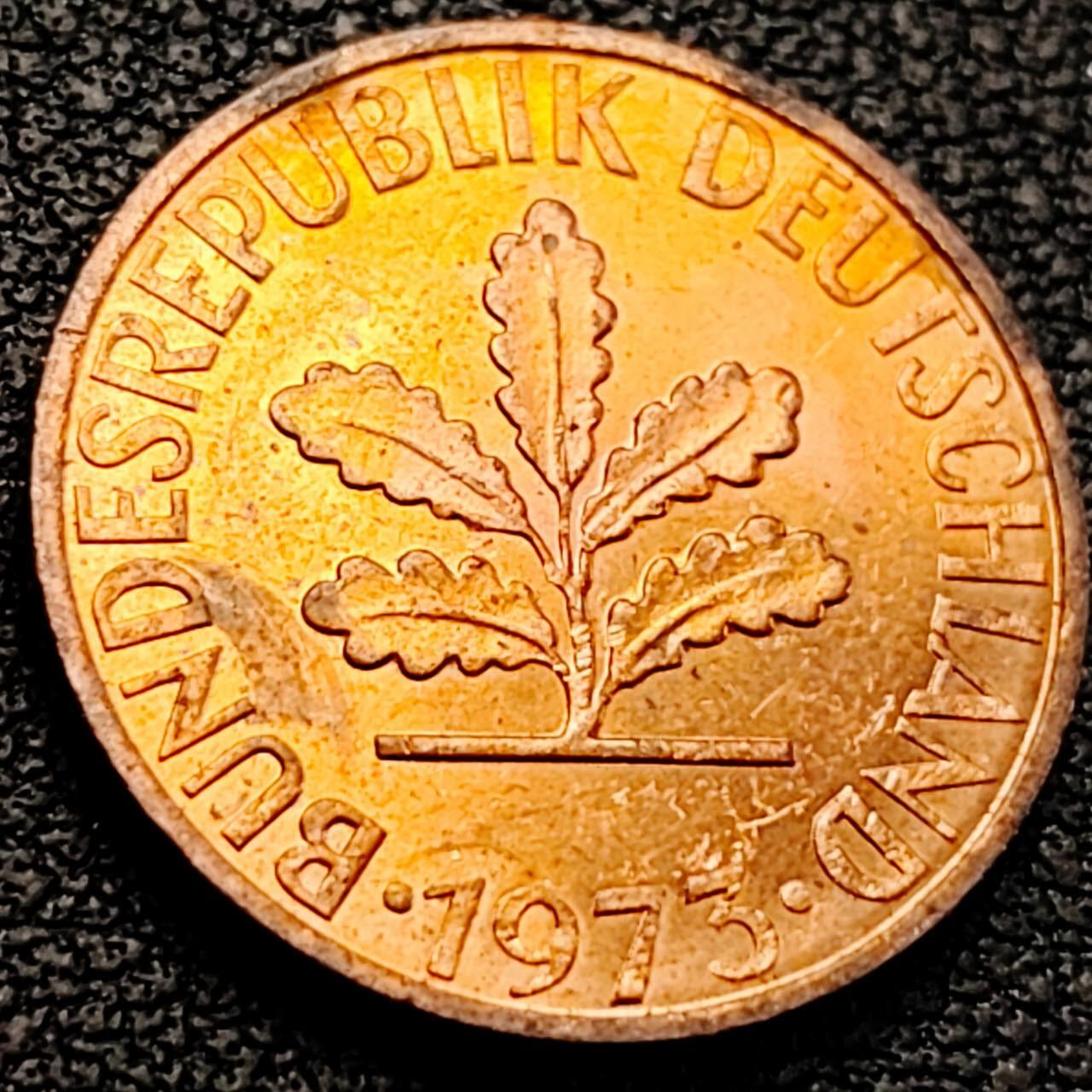 泉币菌-第205场-拍品多 请提前出价 。