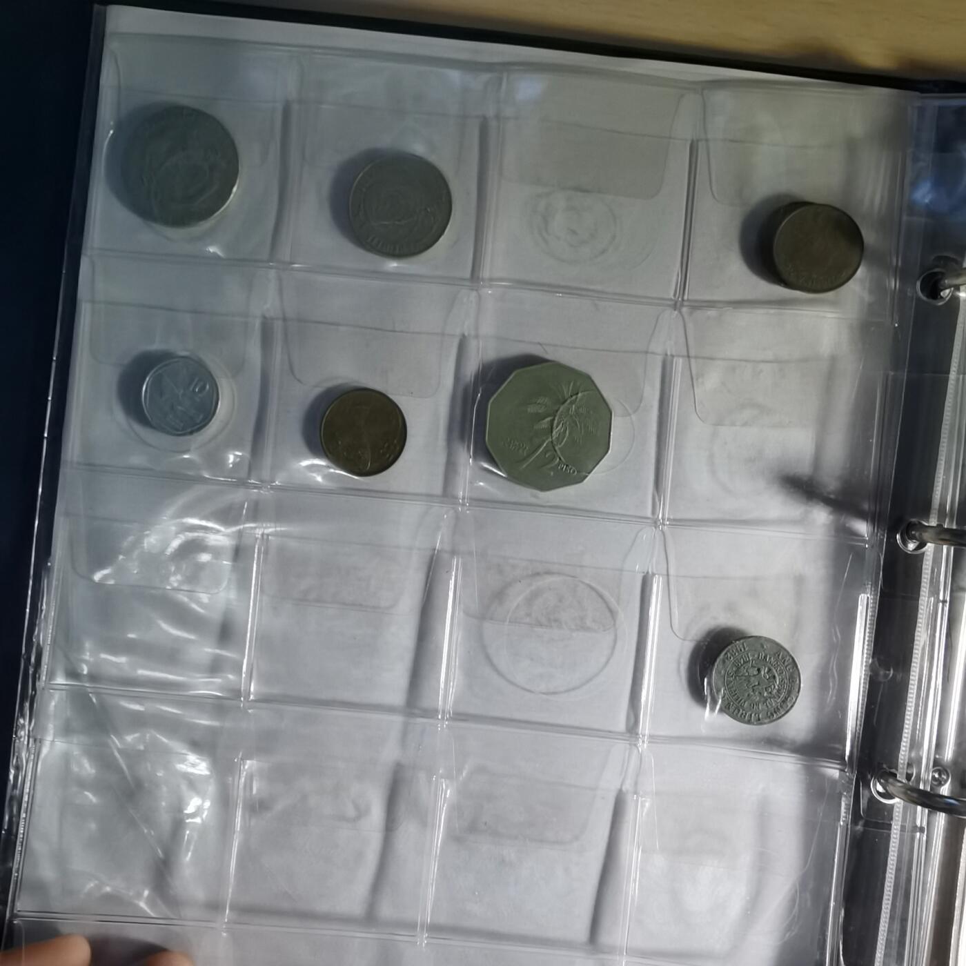 沼泽如烟--第1014场