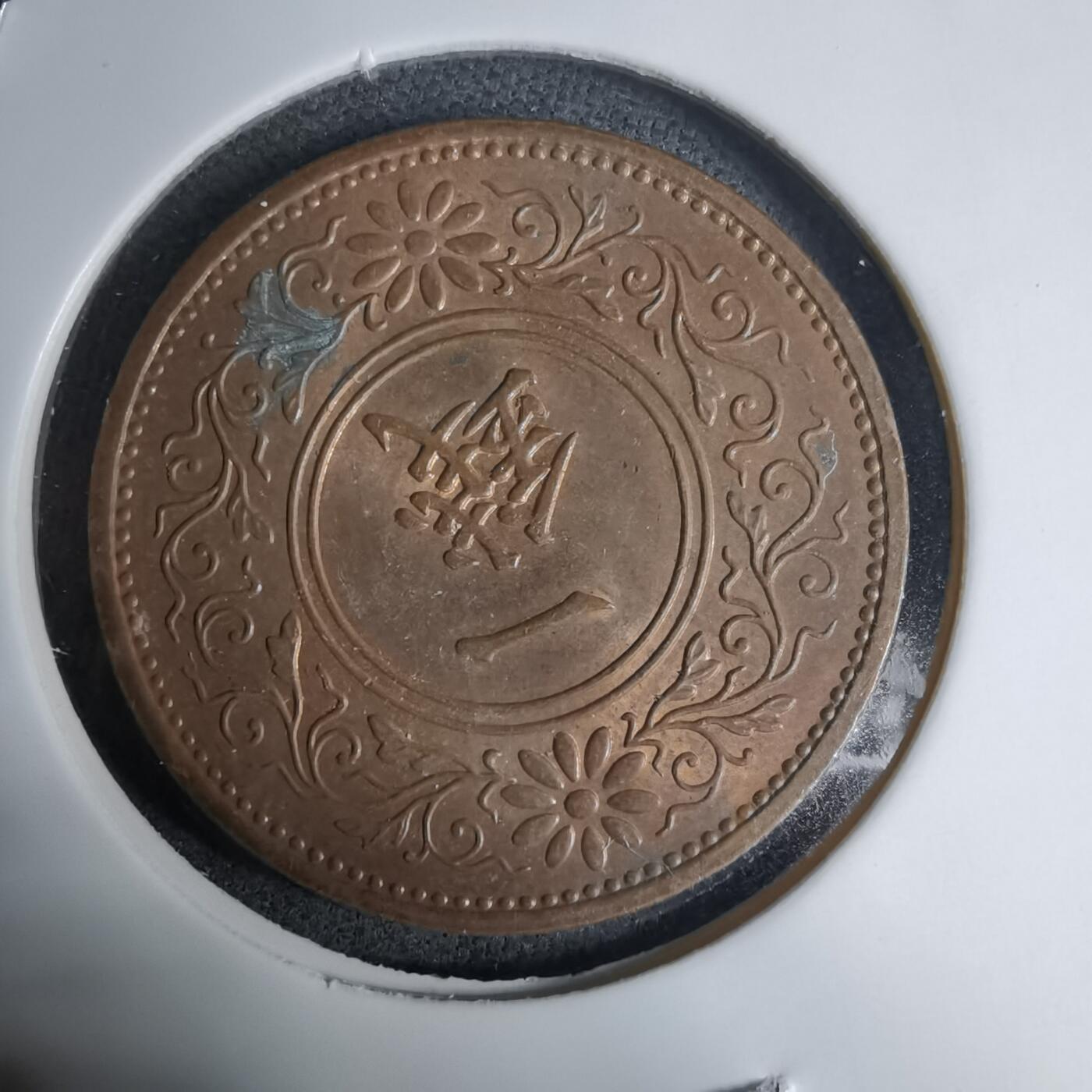 沼泽如烟--第1016场