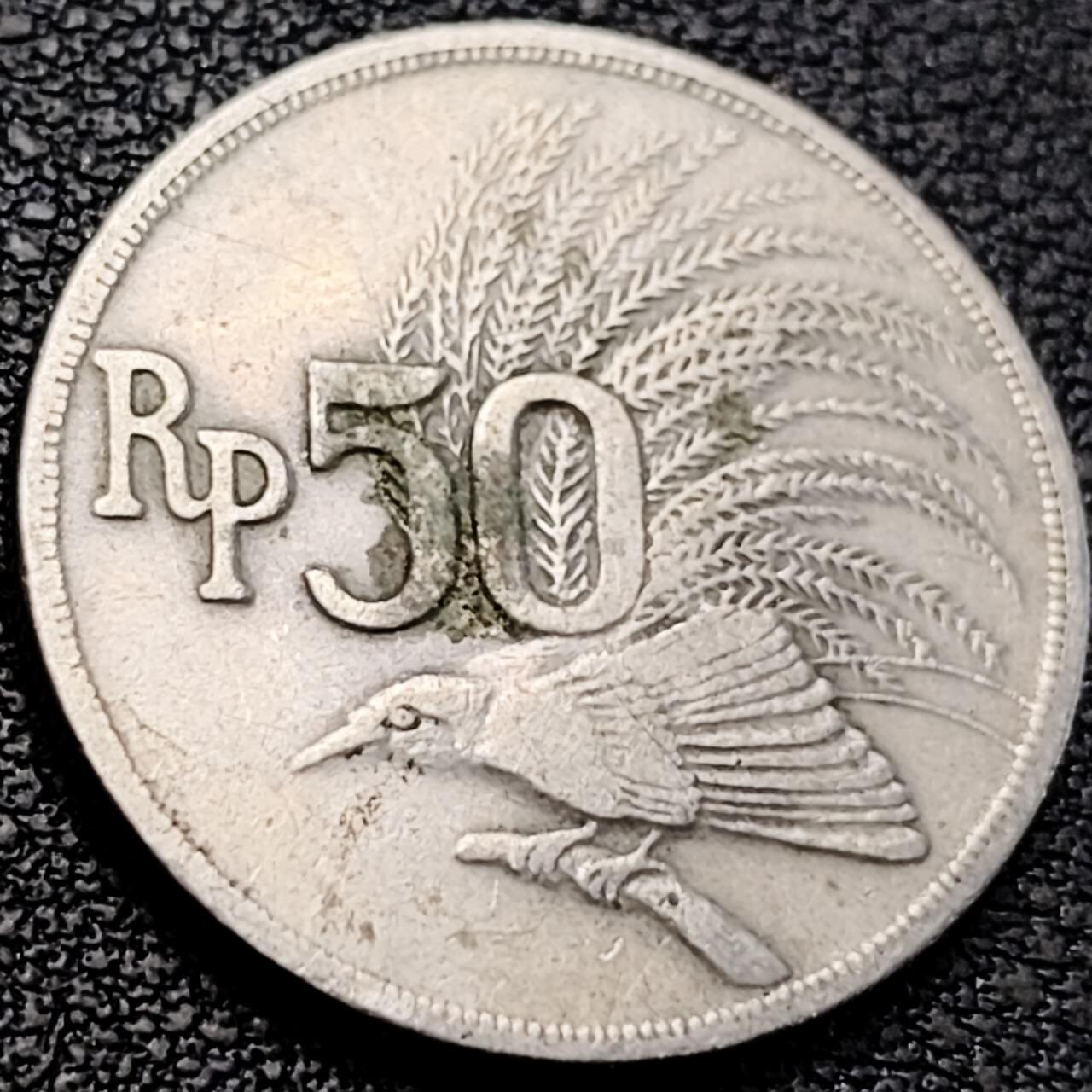 泉币菌-第205场-拍品多 请提前出价 。