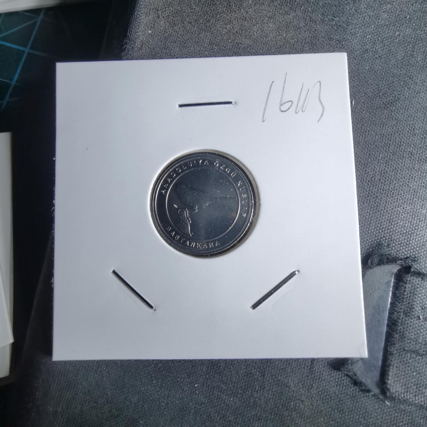 沼泽如烟--第1016场 土耳其2020年1库鲁小鸟系列纪念币