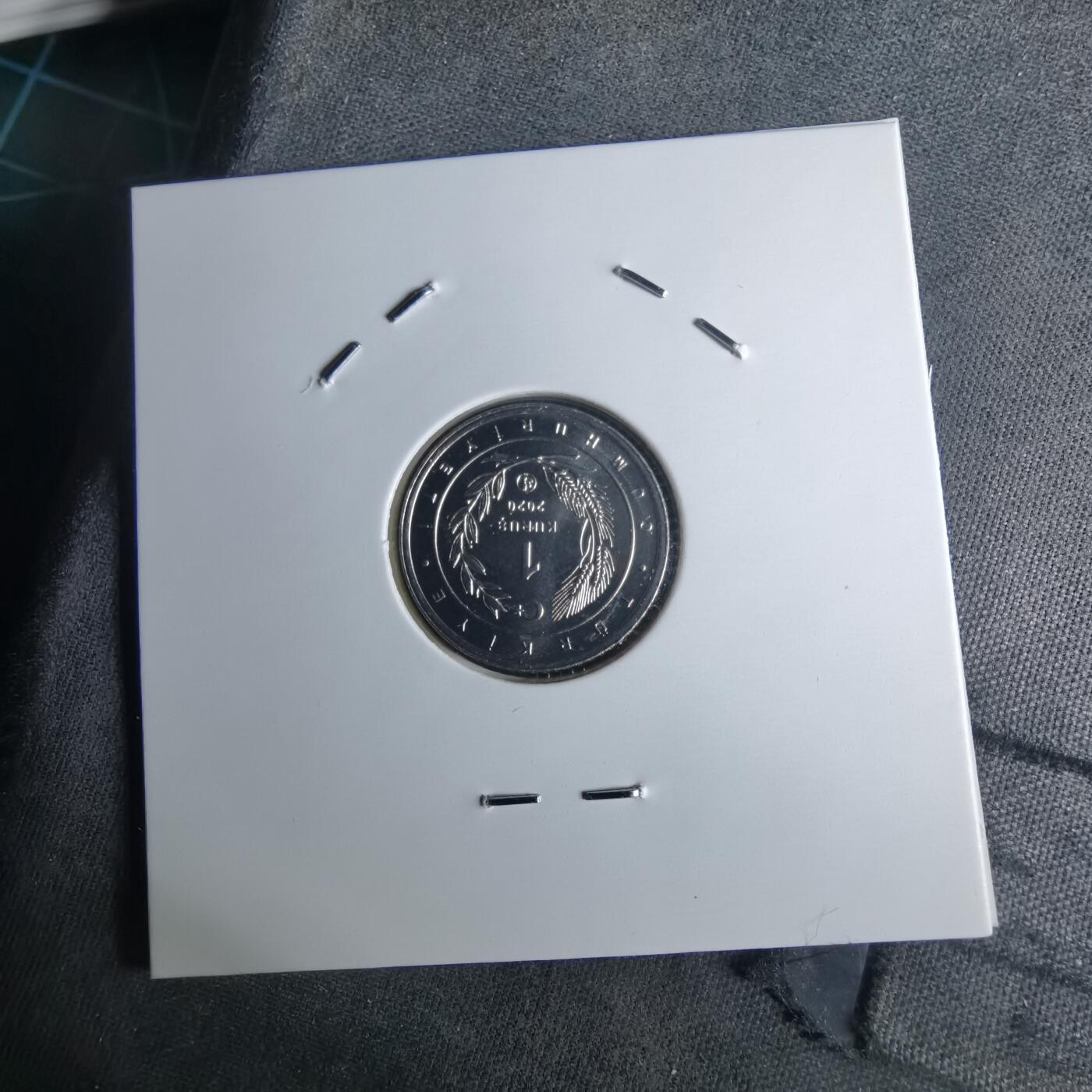 沼泽如烟--第1016场 土耳其2020年1库鲁小鸟系列纪念币