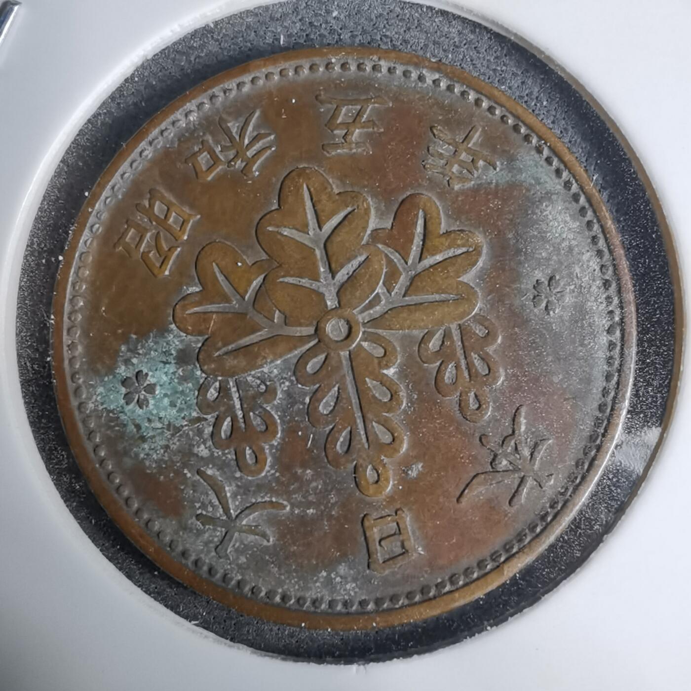 沼泽如烟--第1016场