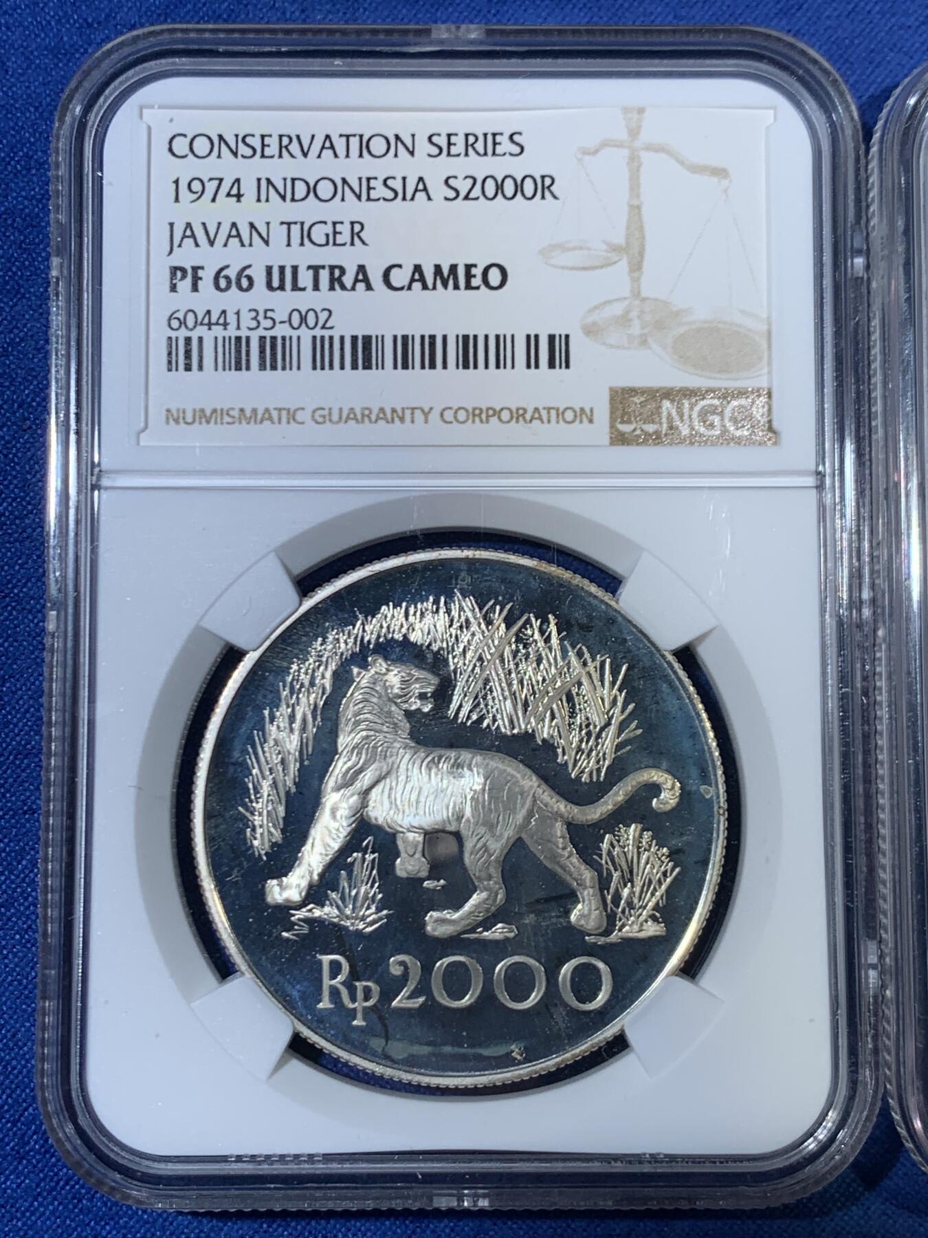 《竞宝斋》第468场 周日，周一 2场连拍 （全场包邮）欢迎送拍 两枚一组 NGC PF66-67UC 印度尼西亚1974年野生珍稀动物PROOF银币 爪哇虎+红毛猩猩 精致漂亮