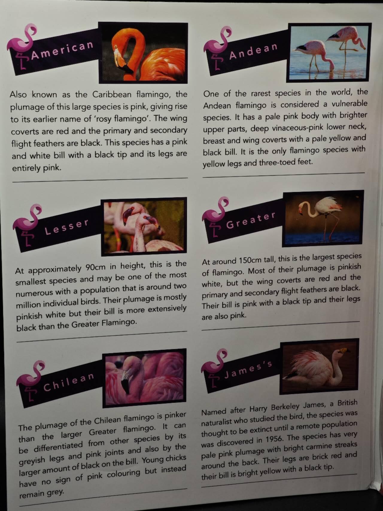  【淘币小摊】限时拍第八百七十九拍   克朗币邮币封场    每周一统一发货