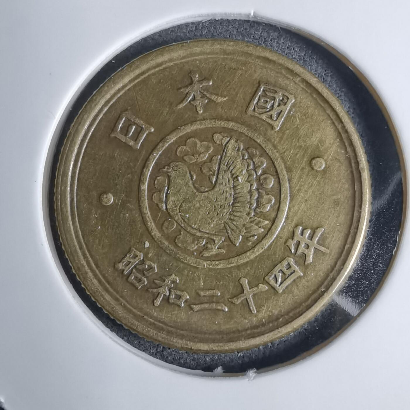 沼泽如烟--第1016场